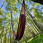 Kaszuby Camp Holiday home Barkocin