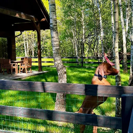 Kaszuby Camp Ferienhaus *