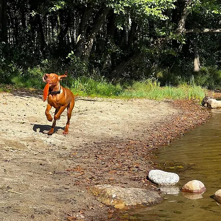 Casa vacanze Kaszuby Camp