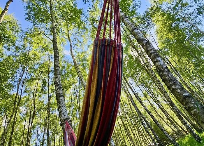 Kaszuby Camp Дом отдыха Barkocin