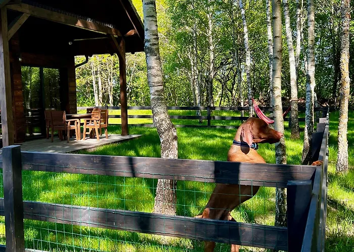 Kaszuby Camp Дом отдыха *