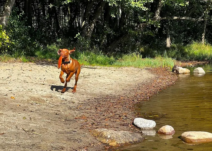 Дом отдыха Kaszuby Camp